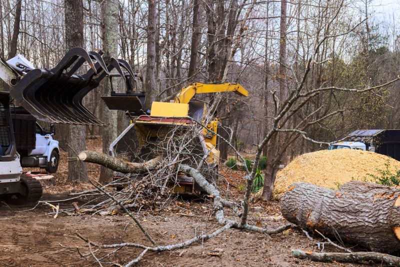 Unloading Wood Chips
